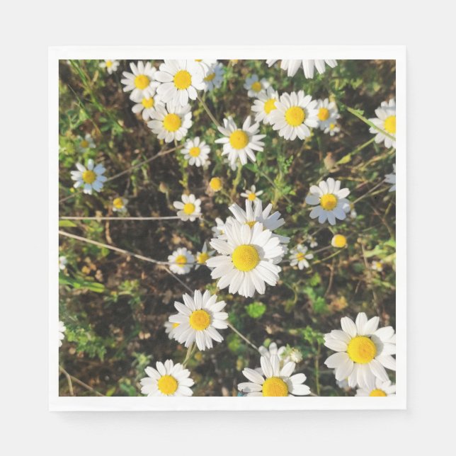 Chamomile-blommor Pappersservett (Framsidan)