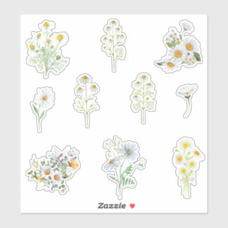 Chamomile Flowers Klistermärken