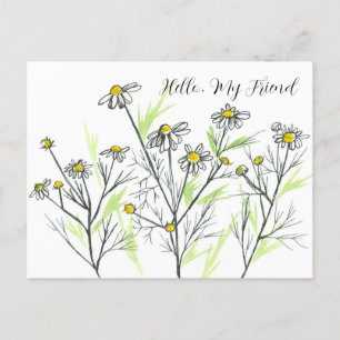 Chamomile Herb Flowers Hej Min vän Vykort