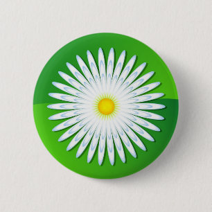 Chamomile Knapp