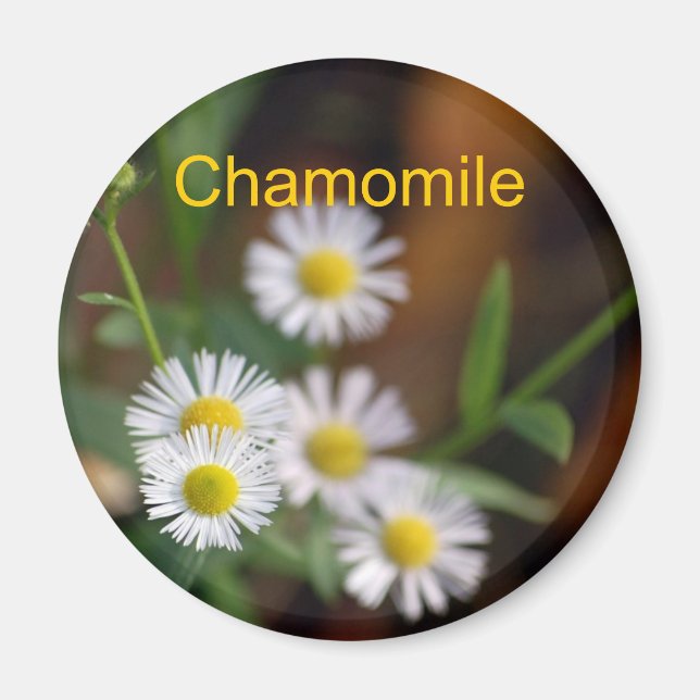 Chamomile magnet (Framsidan)