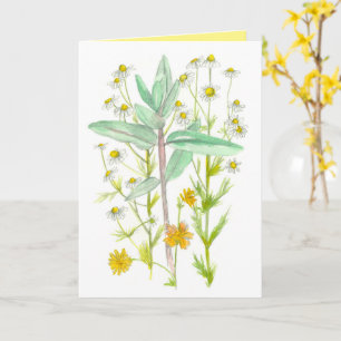 Chamomile Milkweed Garden Flowers tänker på dig Kort