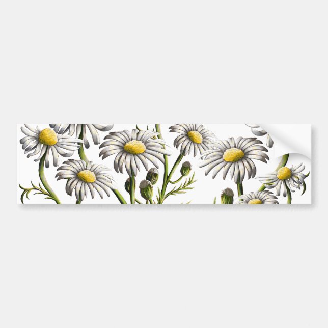 Chamomile Plant Magnet Bildekal (Framsidan)