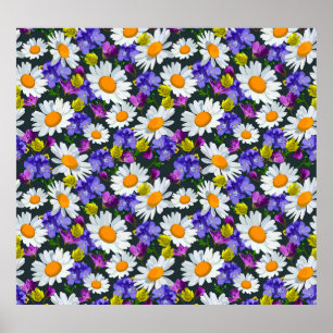 Chamomile, vild blommor: sömlös mönster. poster