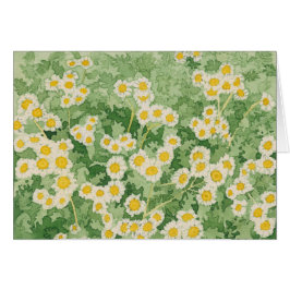 Chamomiles Card OBS Kort