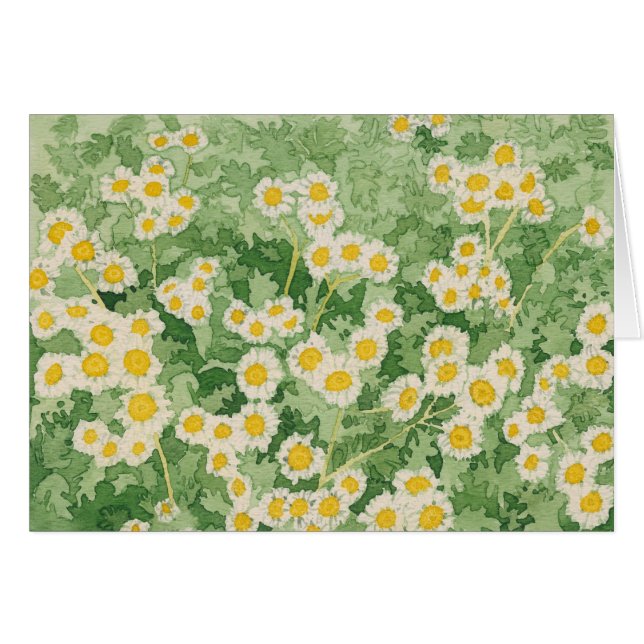 Chamomiles Card OBS Kort (Framsidan Horizontal)