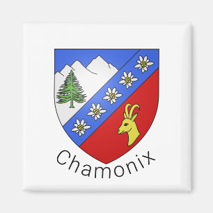 Chamonix jackar arm magnet