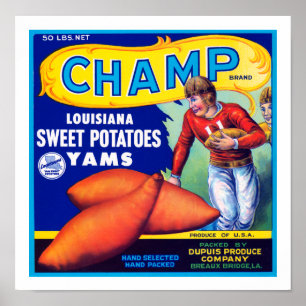 Champ Louisiana Sweet Potatis Poster