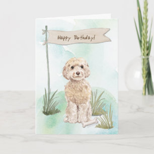 Champagne Cockapoo Hund under födelsedagsskylt Kort