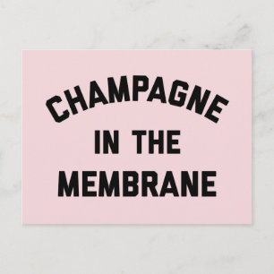 Champagne Membrane Funny Quote Vykort