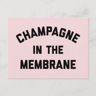 Champagne Membrane Funny Quote Vykort