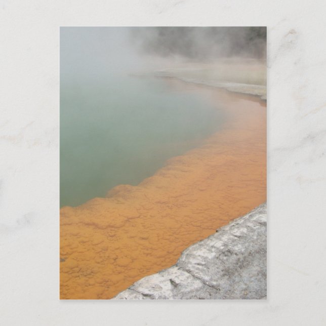 Champagne Pool Vykort (Framsida)