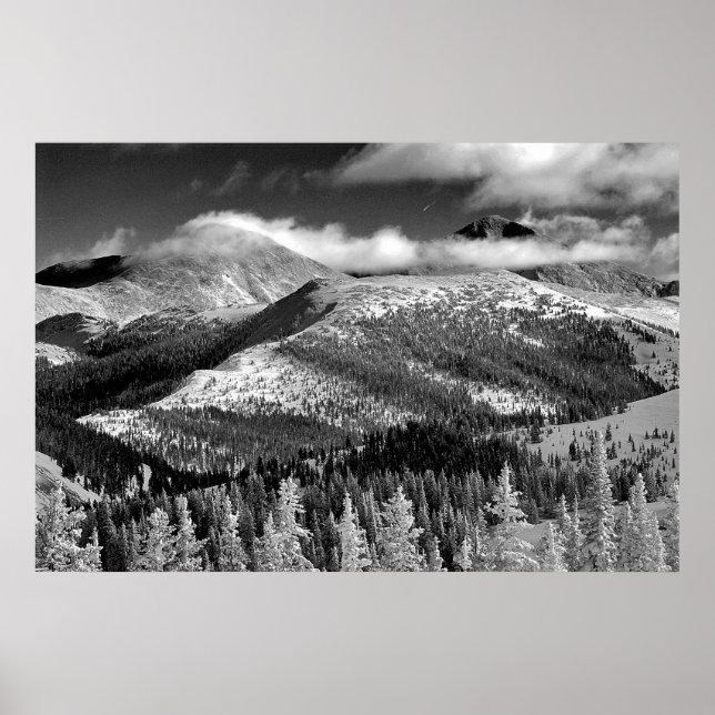 Champagne Snowscape Poster (Framsidan)