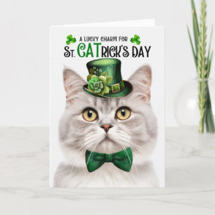 Champagne Tabby katt St CATricks dag Lucky Charm Helgkort