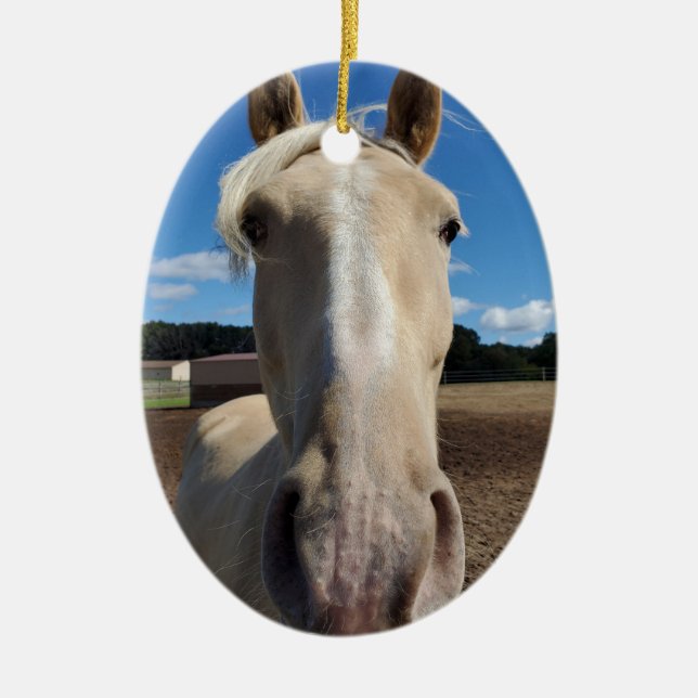 Champagne Tennessee Walking Horse ornament (Framsidan)