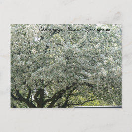 Champaign, Illinois Springtime Vykort