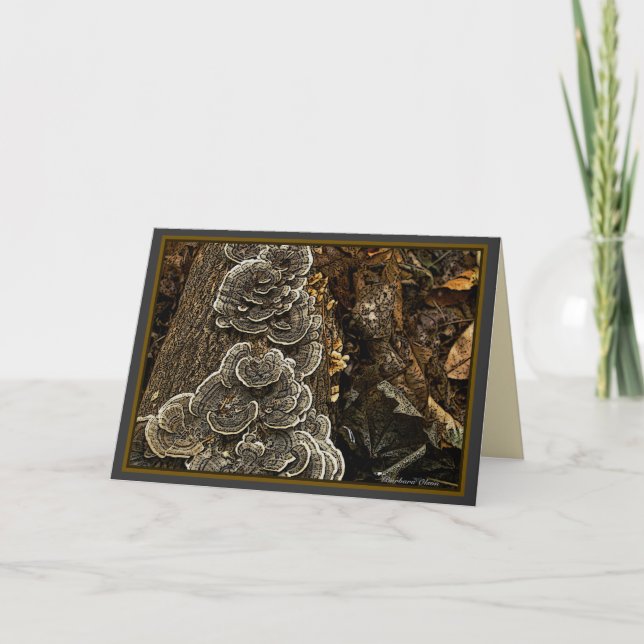 champinjoner kort (Framsida)