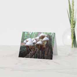 Champinjoner på en gammal stubbe Notecard Kort
