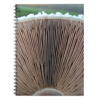 Champinjonjournal Anteckningsbok