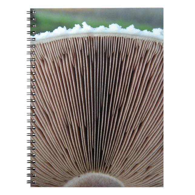 Champinjonjournal Anteckningsbok (Framsidan)