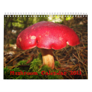 Champinjonkalender Kalender