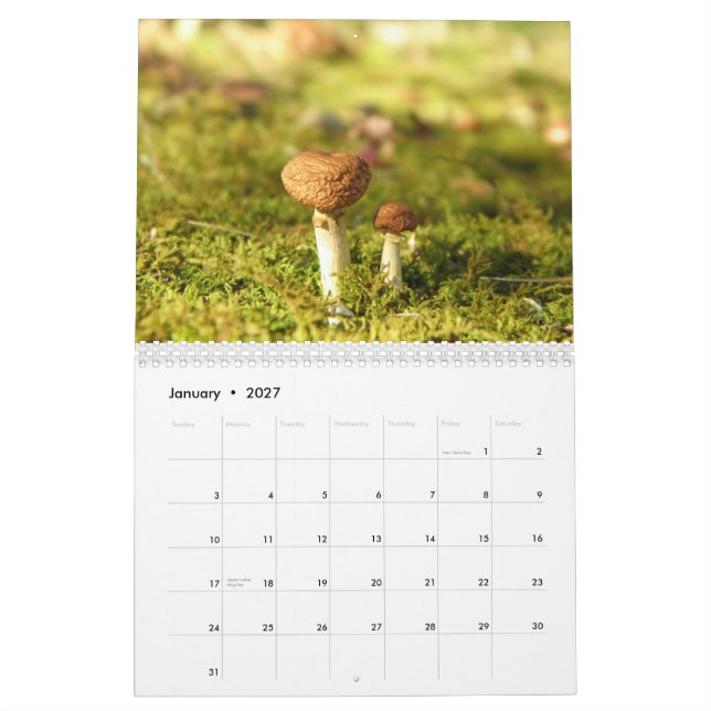 Champinjonkalender Kalender (Jan 2027)