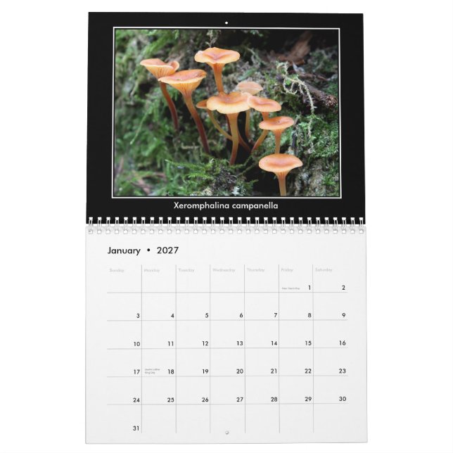 Champinjonkalender Kalender (Jan 2027)