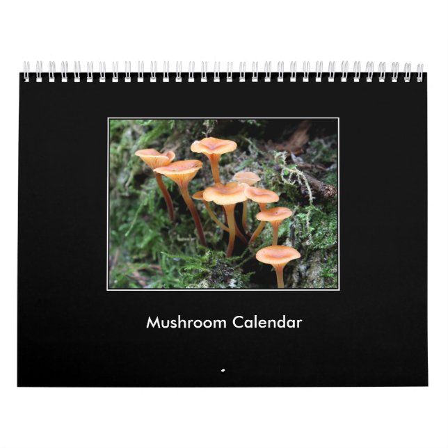 Champinjonkalender Kalender (Omslag)