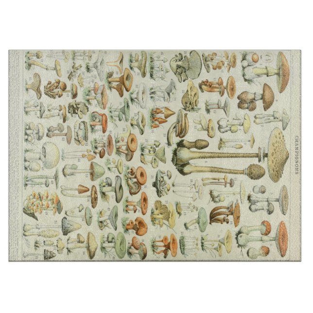 Champinjonskärbräda (Framsidan)