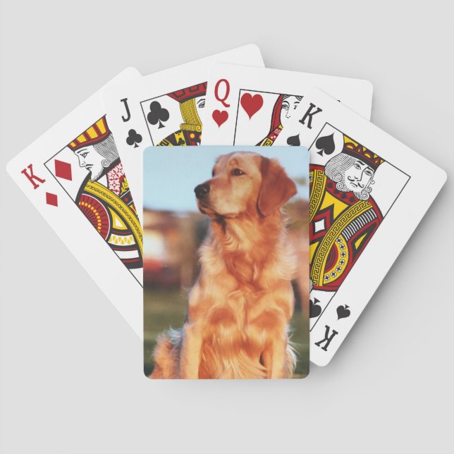 Champion Golden Retriever Fantastisk Pet Hund Casinokort (Baksidan)