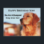 Champion Son Birthday Golden Retreiver Vykort<br><div class="desc">Du är mästare! Om din son är en fläkt av gyllene kyrkobesökare,  så kommer han att uppskatta det här fantastisk-vykortet. "Stark,  seriös,  smart" skickar en enastående perfekt till alla guldkillar.</div>