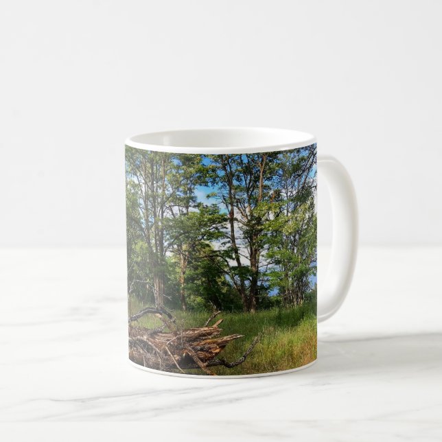 Champoeg State Park, Oregon Poster Magnet Keychain Kaffemugg (Framsida höger)