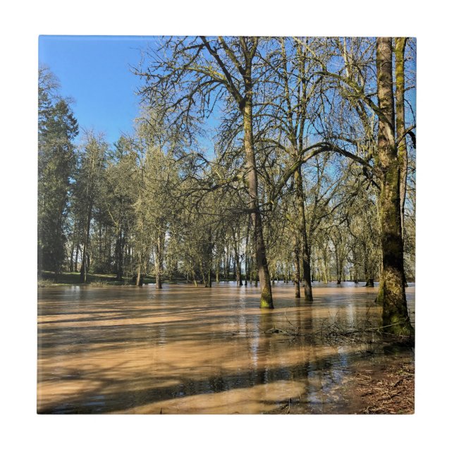 Champoeg State Park, Saint Paul, ELLER Kakelplatta (Framsidan)