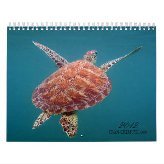 Chan Chemuyil undervattens- kalender