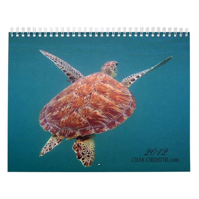 Chan Chemuyil undervattens- kalender (Omslag)