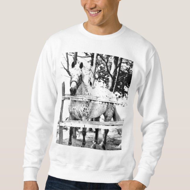 *Chance Sweatshirt (Framsida)