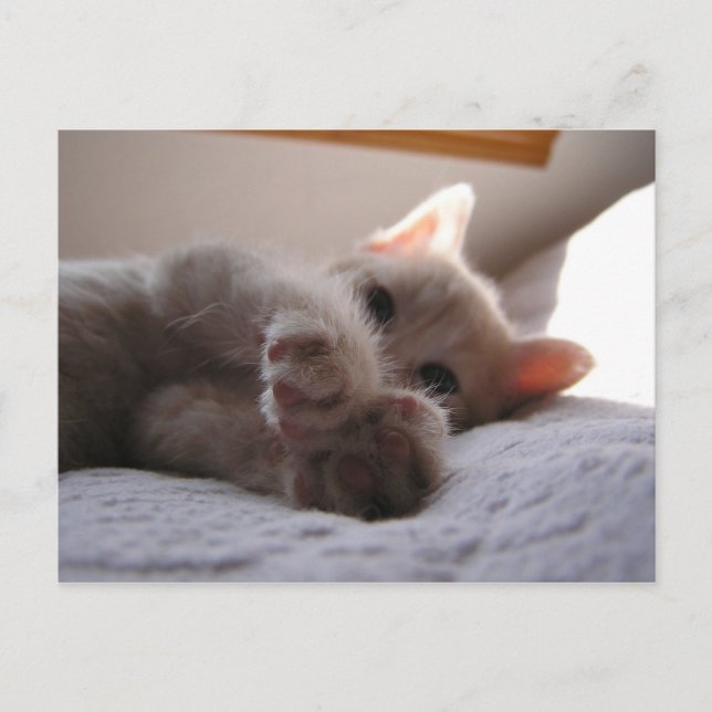 Chandler Vykort (Framsida)