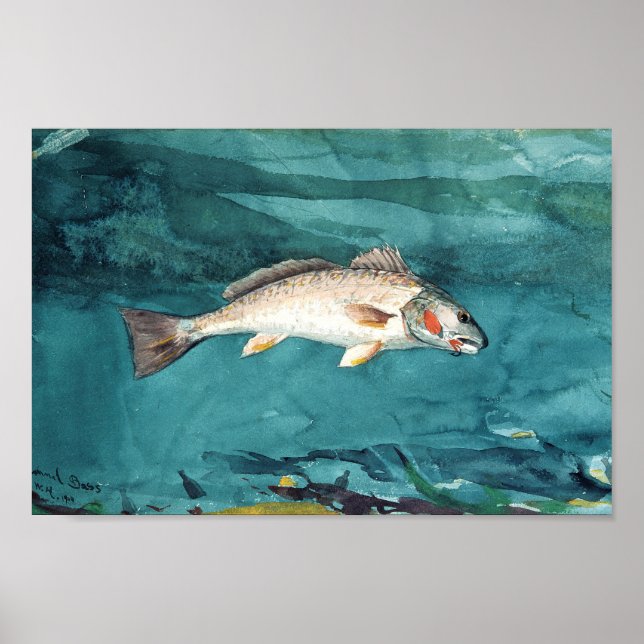 Channel Bass American Painting by Homer Poster (Framsidan)