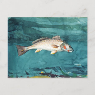 Channel Bass American Painting by Homer Vykort