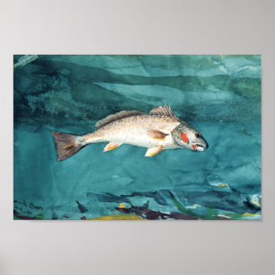 Channel Bass American Painting efter Homer Poster