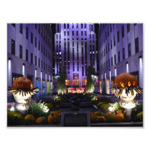 Channel Gardens Femte Avenue New York City NYC Fototryck