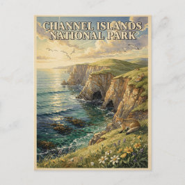 Channel Islands National Park Österbottensräv Resa Vykort