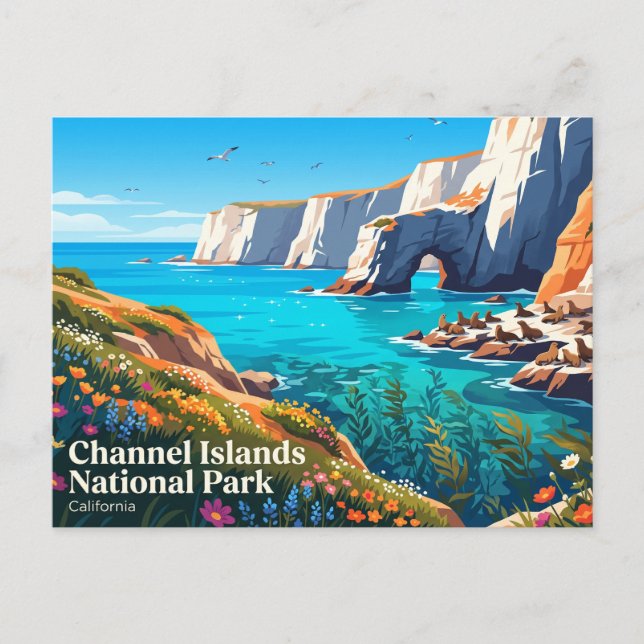 Channel Islands National Park USA Vykort (Framsida)