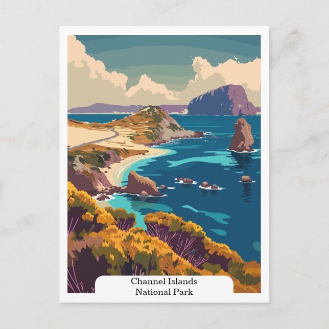 Channel Islands National Park USA Vykort (Framsida)
