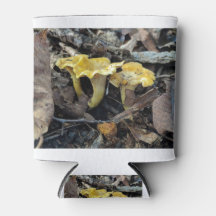 Chanterelle,Cantharellus cibarius