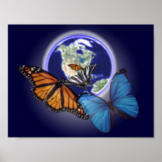 Chaos och Butterfly Poster