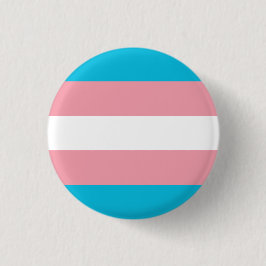 Chapa Bandera Transexual - Love is Love Knapp