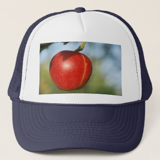 Chapeau de camion Apple Keps