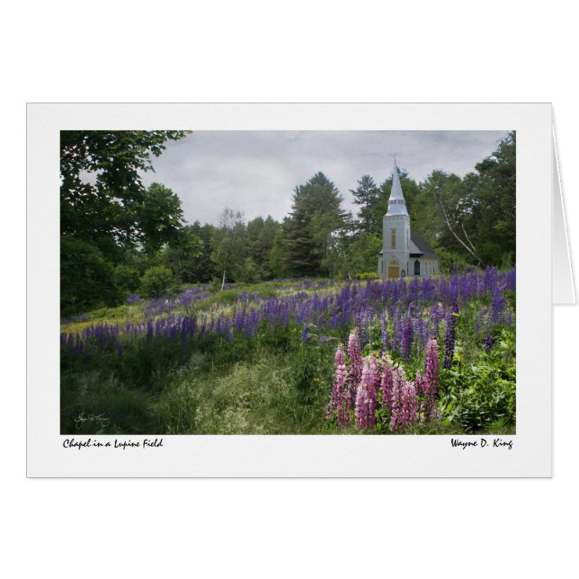Chapel i ett Lupine Fält-kort Hälsningskort (Framsidan Horizontal)