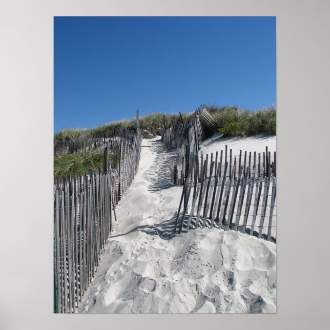 Chapin Beach Cape Cod Poster (Framsidan)